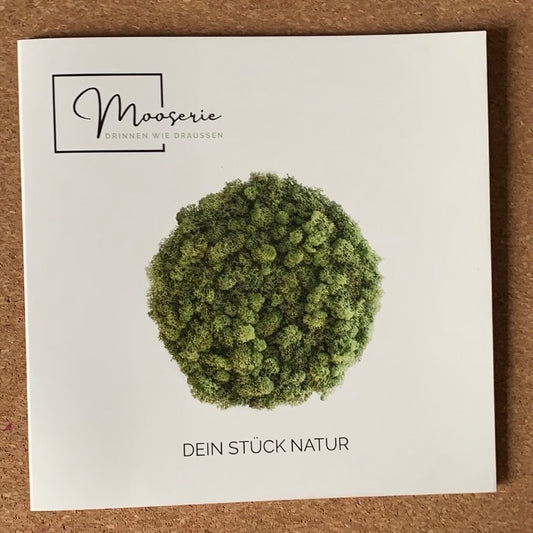 Der frisch gedruckte Mooserie Flyer