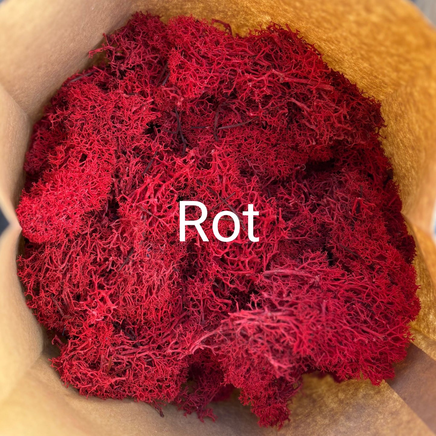 Moos.Upcycling DIY-MOOS