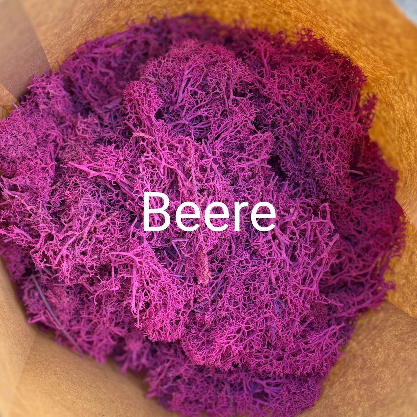 Moos.Upcycling DIY-BOX