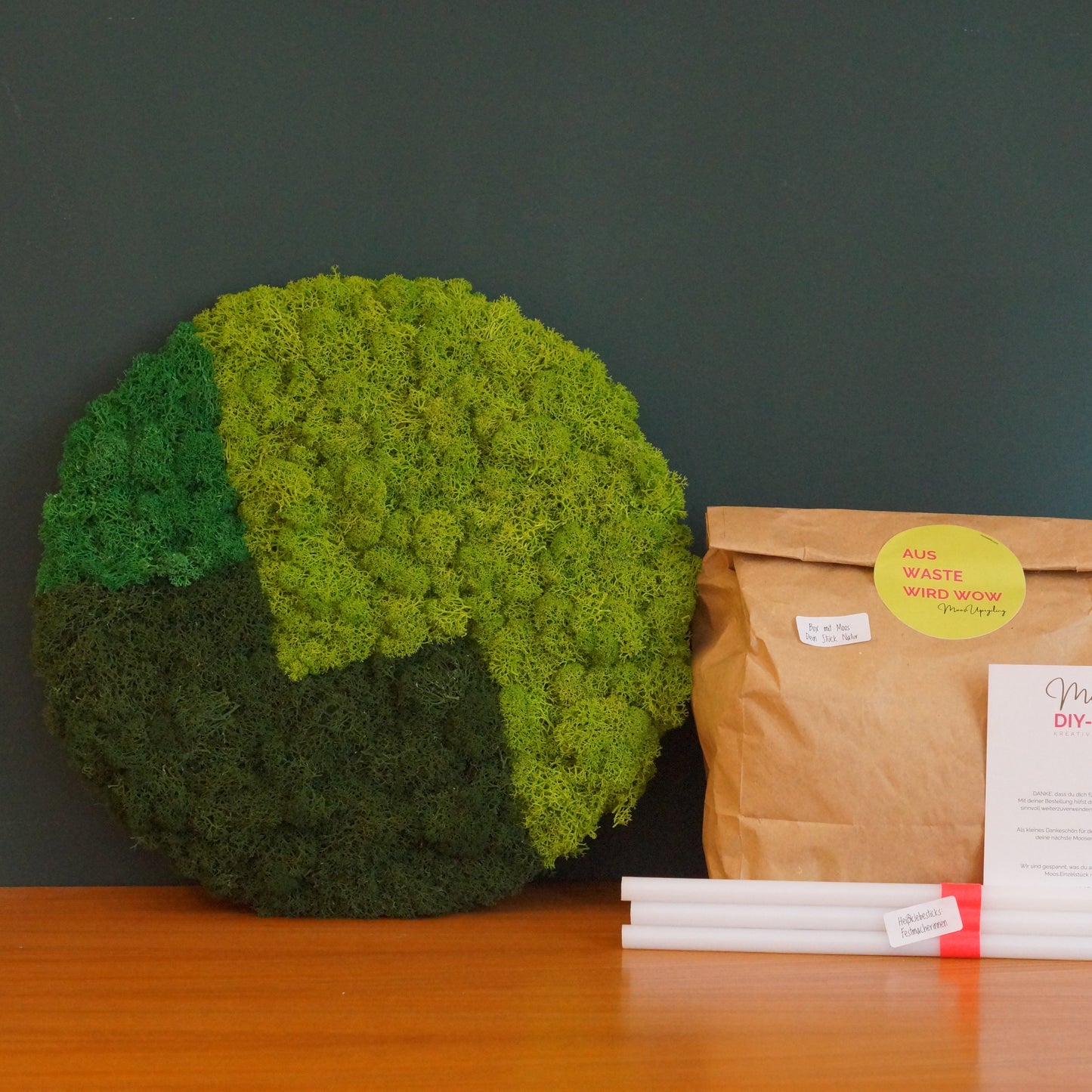 Moos.Upcycling DIY-BOX