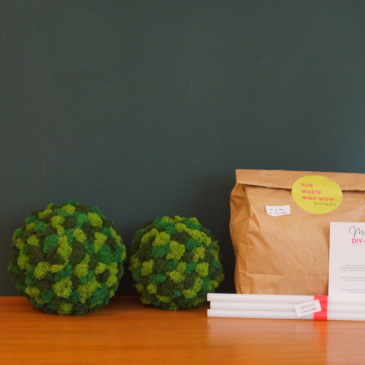 Moos.Upcycling DIY-BOX