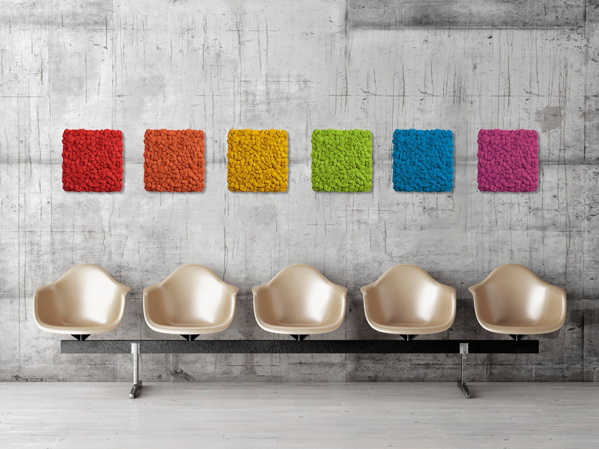 bunte Islandmoosbilder vor Betonwand