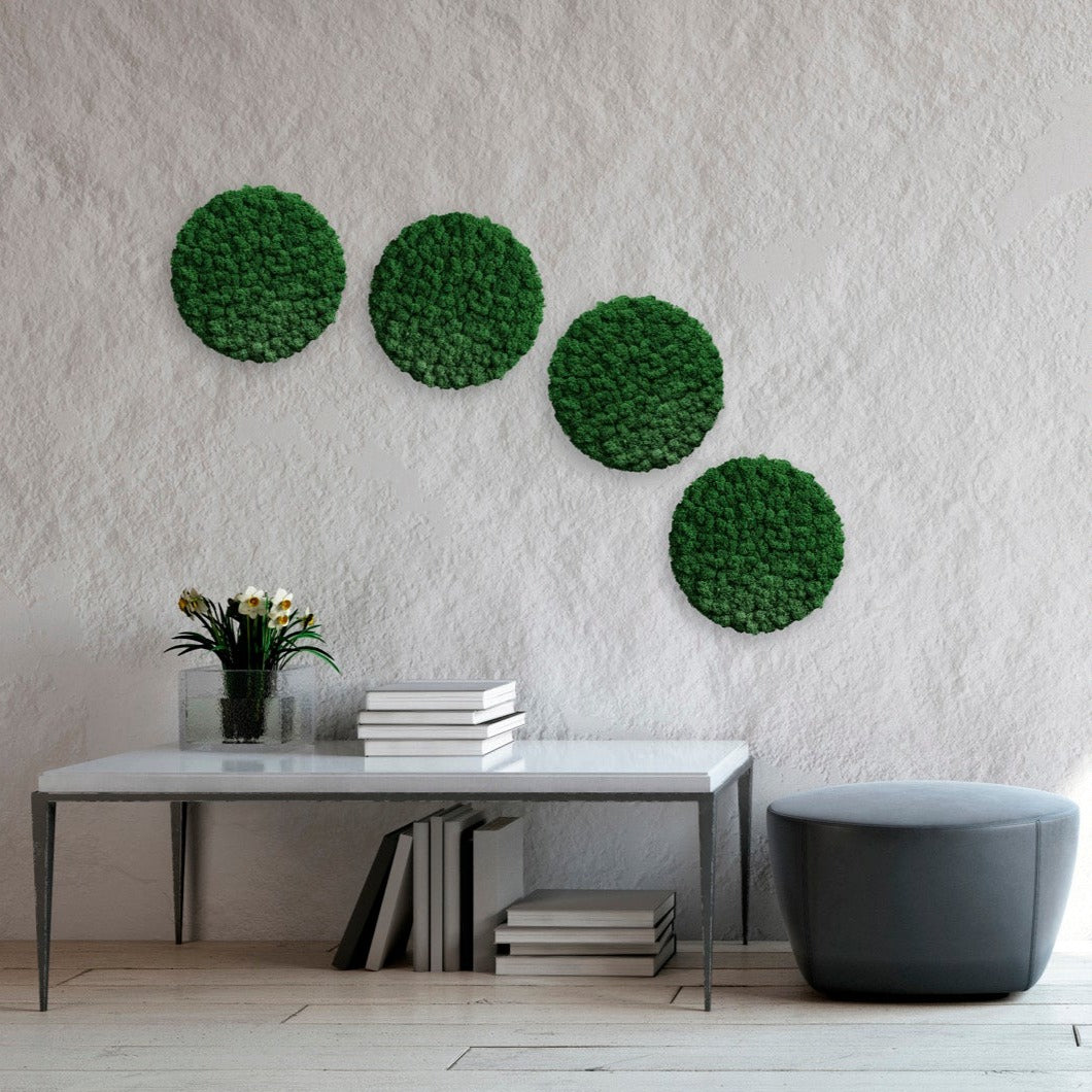MOOS.PUR | Randlose Moosbilder