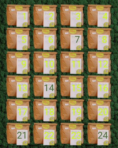 Moos.Upcycling DIY-MOOS