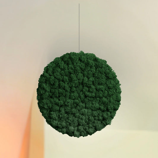 MOOS.PLANET 25 - der natürliche Schallabsorber