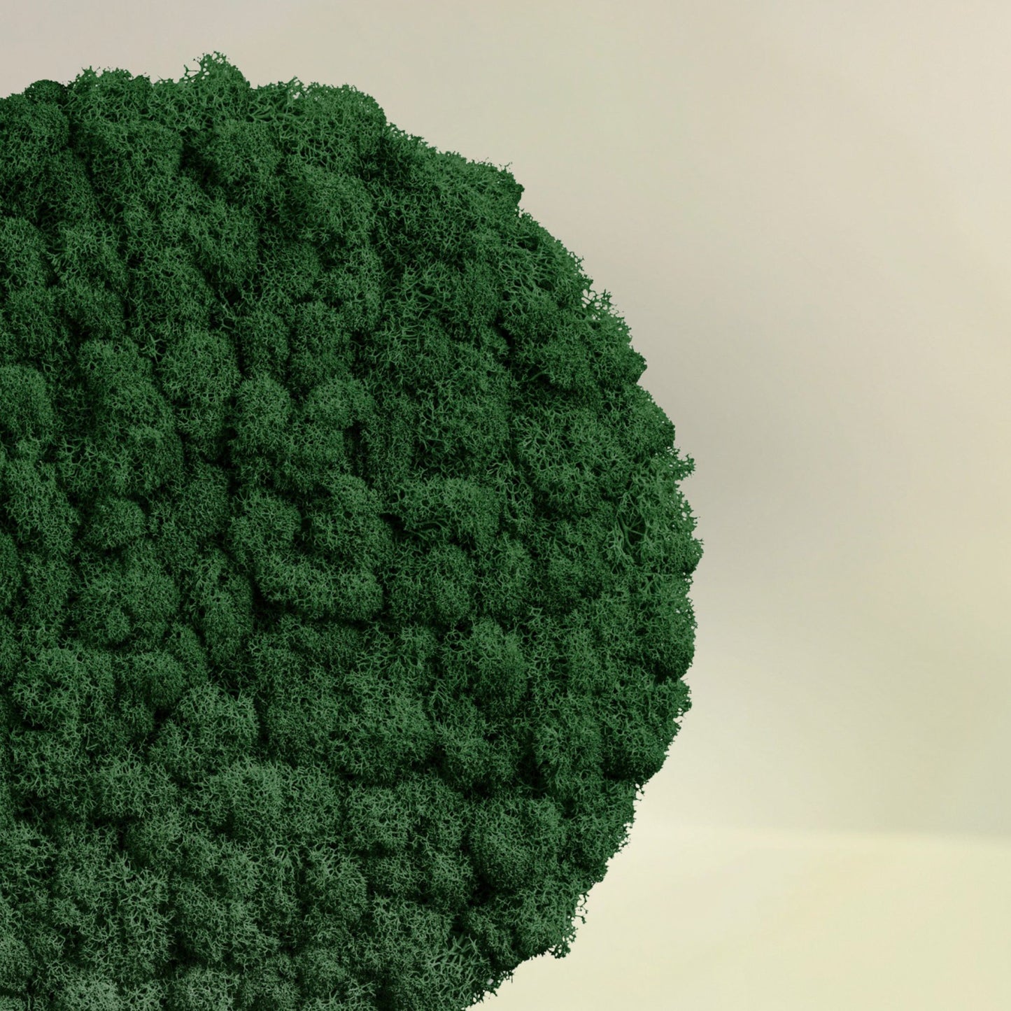 MOOS.PLANET 25 - der natürliche Schallabsorber