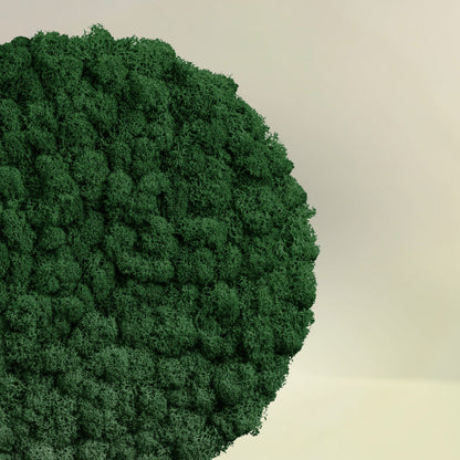 MOOS.PLANET 25 - der natürliche Schallabsorber