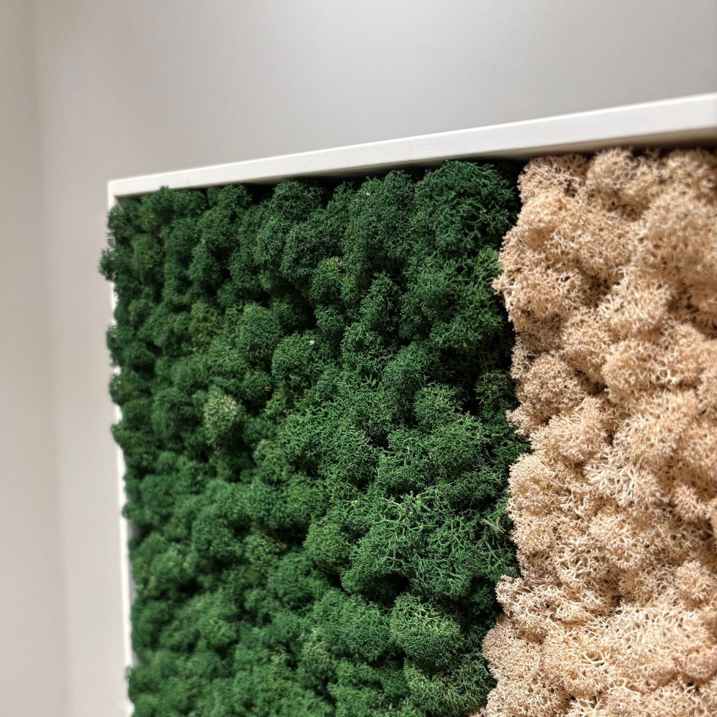 GAMECHANGER - der mobile Raumteiler