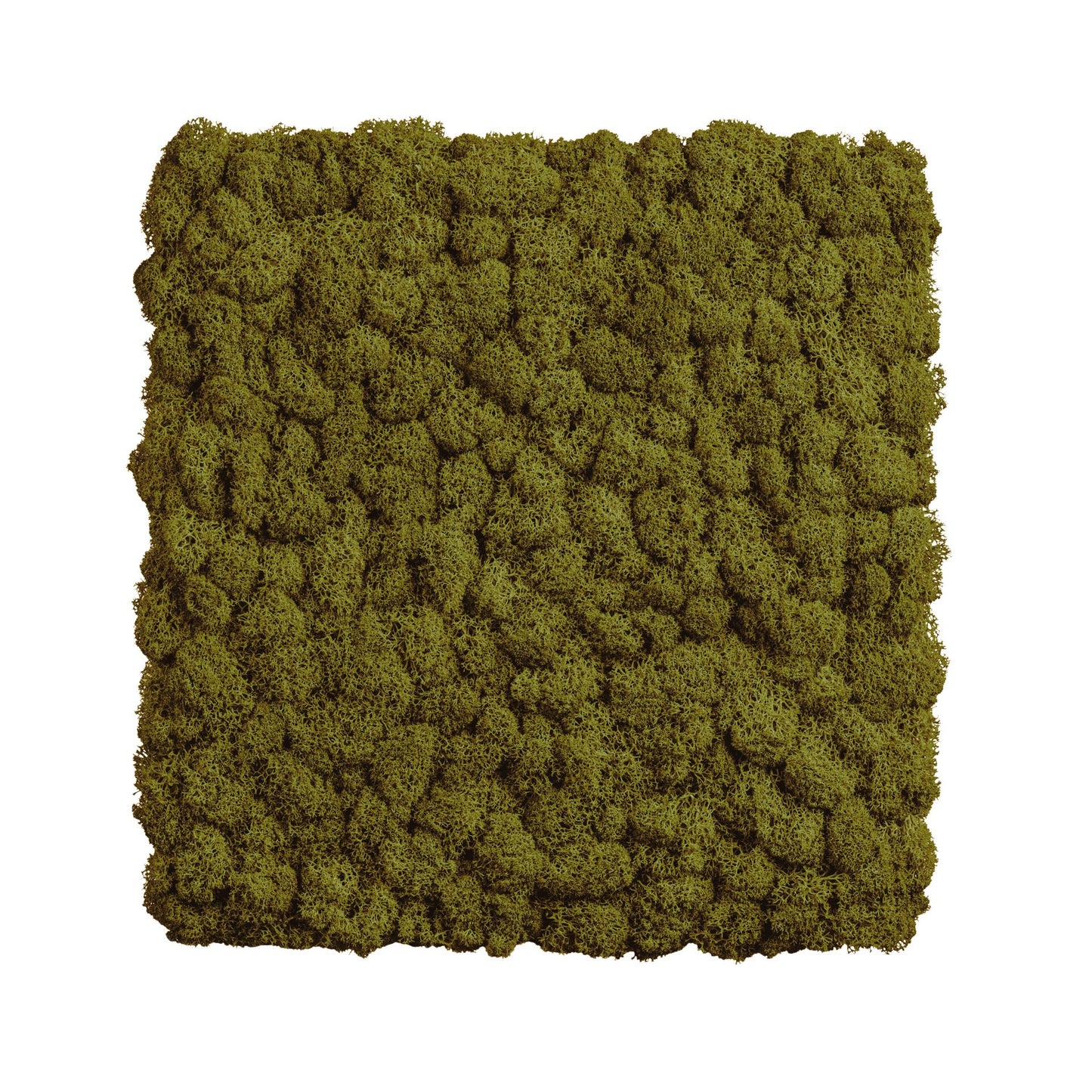 MOOS.PUR | Randlose Moosbilder