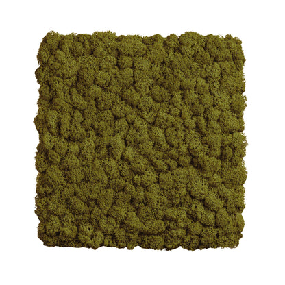 MOOS.PUR | Randlose Moosbilder