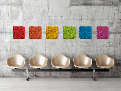 bunte Islandmoosbilder vor Betonwand